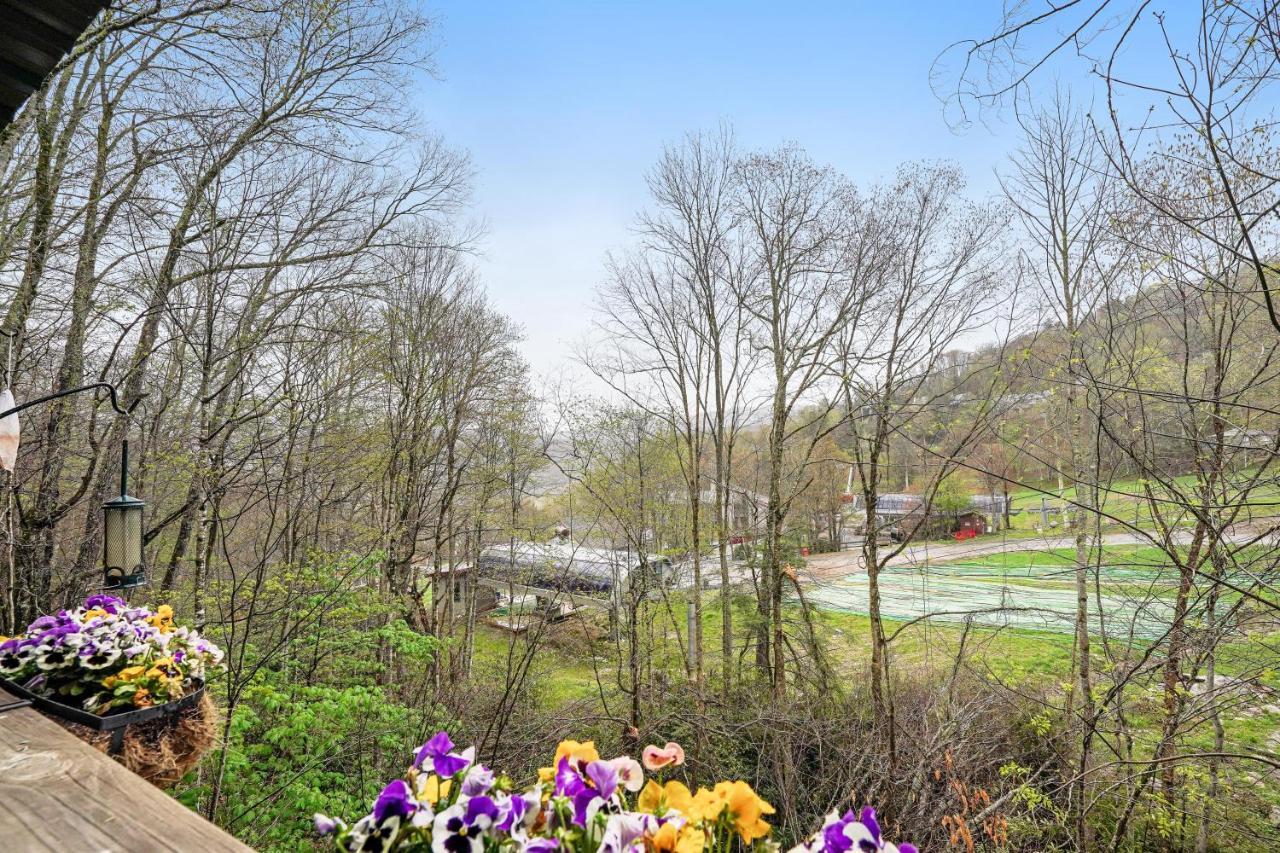 Bee Branch 27 Apartment Sugar Mountain Bagian luar foto